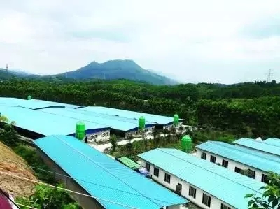 PA�콢��ƽ̨(�й���)�ٷ���վ-PA PlayAce