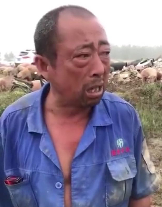 PA�콢��ƽ̨(�й���)�ٷ���վ-PA PlayAce