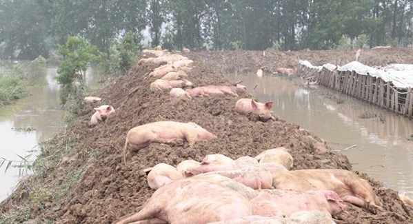 PA�콢��ƽ̨(�й���)�ٷ���վ-PA PlayAce