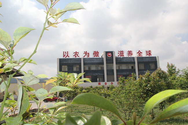 PA�콢��ƽ̨(�й���)�ٷ���վ-PA PlayAce