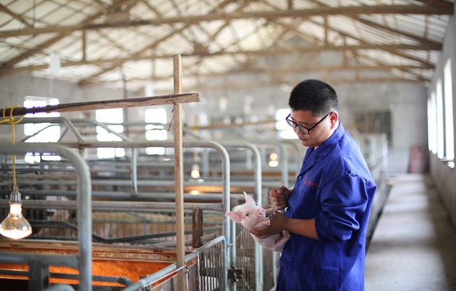 PA�콢��ƽ̨(�й���)�ٷ���վ-PA PlayAce