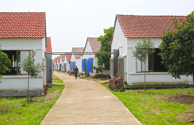 PA�콢��ƽ̨(�й���)�ٷ���վ-PA PlayAce