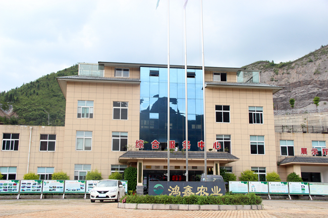 PAÆì½¢Ìüƽ̨(ÖйúÇø)¹Ù·½ÍøÕ¾-PA PlayAce