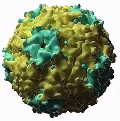 PA旗舰厅平台(中国区)官方网站-PA PlayAce