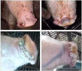 PA旗舰厅平台(中国区)官方网站-PA PlayAce