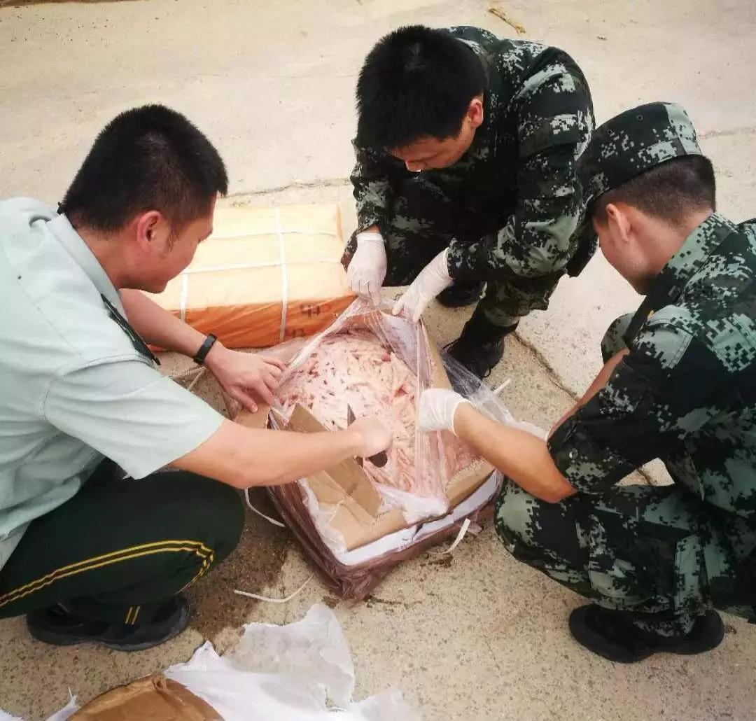 PA�콢��ƽ̨(�й���)�ٷ���վ-PA PlayAce