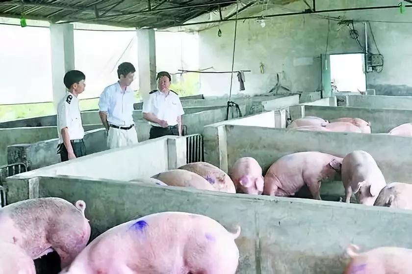 PA旗舰厅平台(中国区)官方网站-PA PlayAce