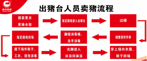 PA�콢��ƽ̨(�й���)�ٷ���վ-PA PlayAce