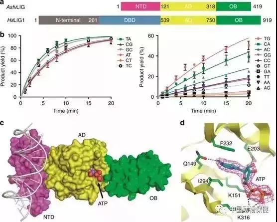 PA旗舰厅平台(中国区)官方网站-PA PlayAce