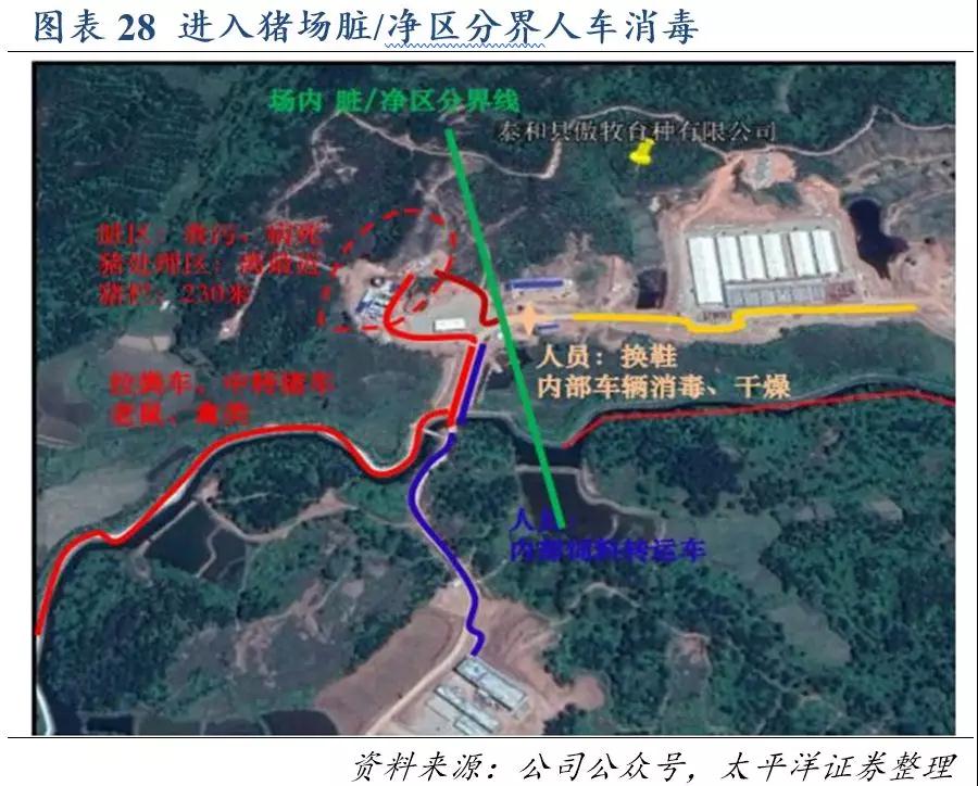 PA�콢��ƽ̨(�й���)�ٷ���վ-PA PlayAce