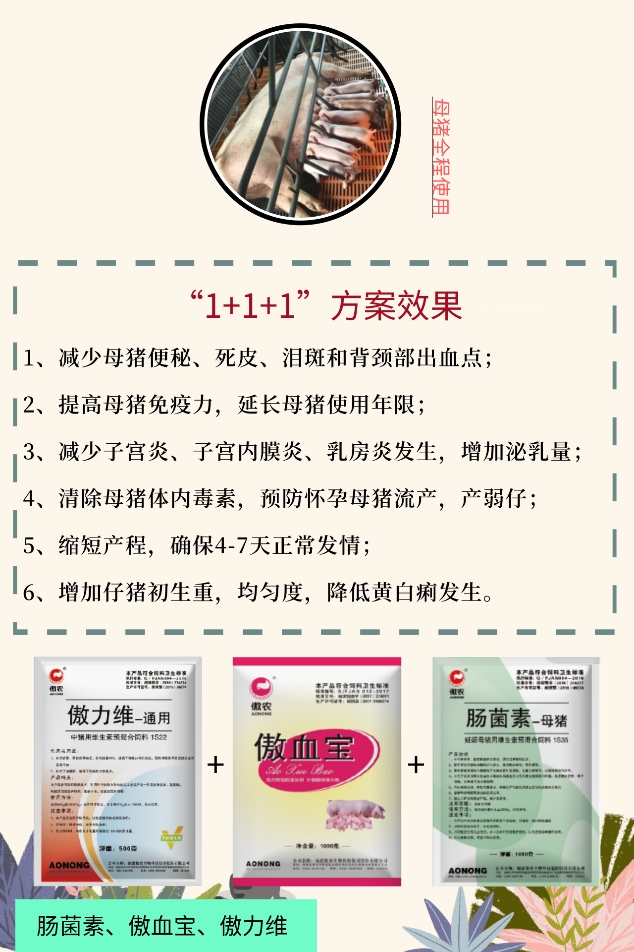 PA�콢��ƽ̨(�й���)�ٷ���վ-PA PlayAce