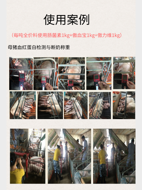 PA�콢��ƽ̨(�й���)�ٷ���վ-PA PlayAce