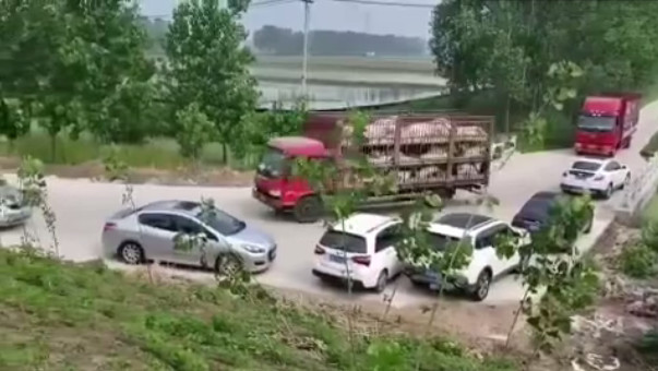 PA�콢��ƽ̨(�й���)�ٷ���վ-PA PlayAce