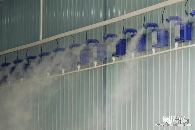 PA�콢��ƽ̨(�й���)�ٷ���վ-PA PlayAce