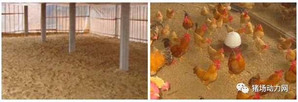 PA�콢��ƽ̨(�й���)�ٷ���վ-PA PlayAce