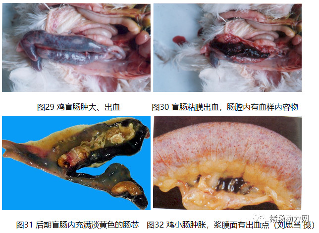 PA�콢��ƽ̨(�й���)�ٷ���վ-PA PlayAce