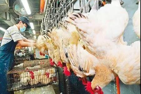 PAÆì½¢Ìüƽ̨(ÖйúÇø)¹Ù·½ÍøÕ¾-PA PlayAce