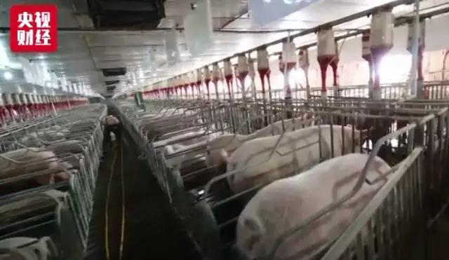 PA�콢��ƽ̨(�й���)�ٷ���վ-PA PlayAce