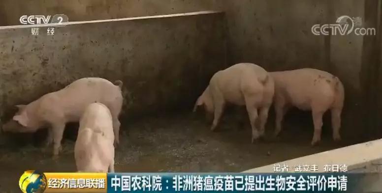 PA�콢��ƽ̨(�й���)�ٷ���վ-PA PlayAce