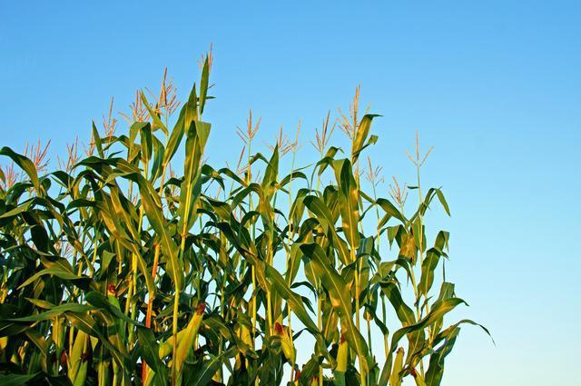 PA旗舰厅平台(中国区)官方网站-PA PlayAce