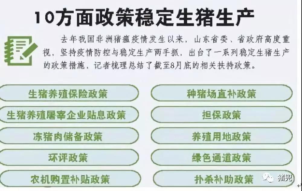 PAÆì½¢Ìüƽ̨(ÖйúÇø)¹Ù·½ÍøÕ¾-PA PlayAce