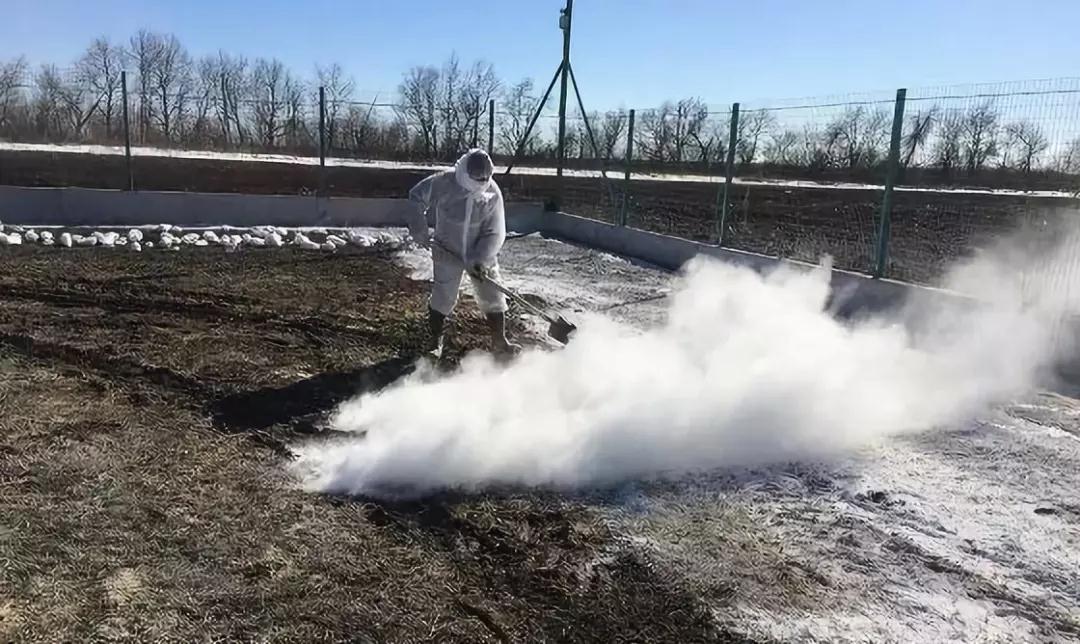 PA�콢��ƽ̨(�й���)�ٷ���վ-PA PlayAce