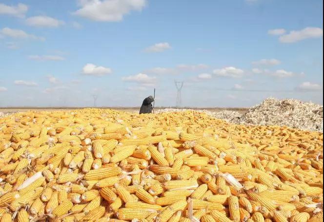 PA�콢��ƽ̨(�й���)�ٷ���վ-PA PlayAce