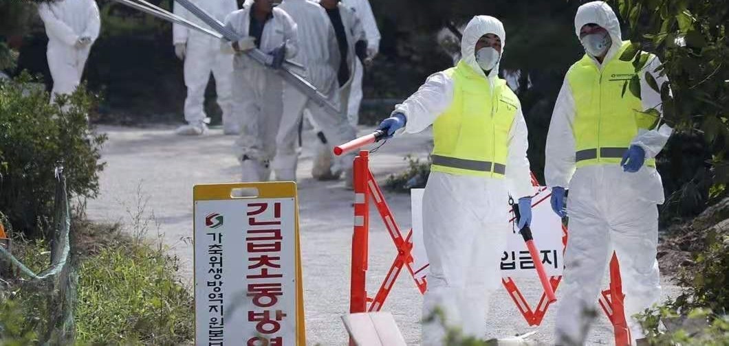 PA�콢��ƽ̨(�й���)�ٷ���վ-PA PlayAce