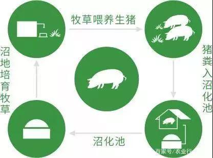 PA�콢��ƽ̨(�й���)�ٷ���վ-PA PlayAce