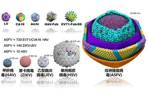 PA�콢��ƽ̨(�й���)�ٷ���վ-PA PlayAce