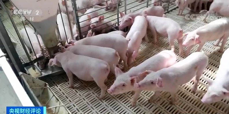 PA�콢��ƽ̨(�й���)�ٷ���վ-PA PlayAce