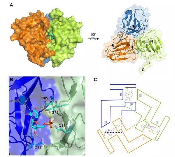 PA�콢��ƽ̨(�й���)�ٷ���վ-PA PlayAce