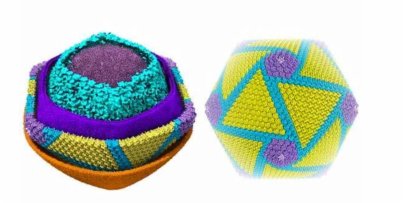 PA�콢��ƽ̨(�й���)�ٷ���վ-PA PlayAce