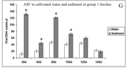 PA�콢��ƽ̨(�й���)�ٷ���վ-PA PlayAce