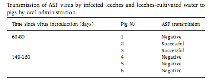 PA�콢��ƽ̨(�й���)�ٷ���վ-PA PlayAce