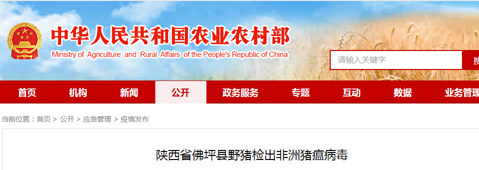 PA�콢��ƽ̨(�й���)�ٷ���վ-PA PlayAce