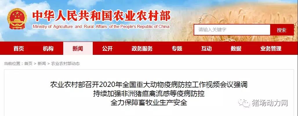 PA�콢��ƽ̨(�й���)�ٷ���վ-PA PlayAce