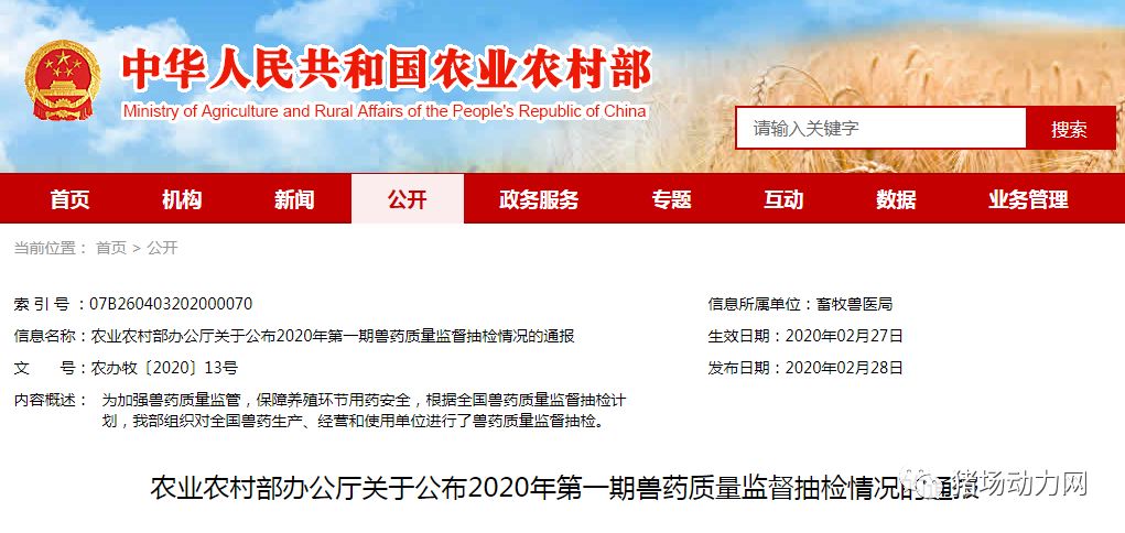 PA�콢��ƽ̨(�й���)�ٷ���վ-PA PlayAce