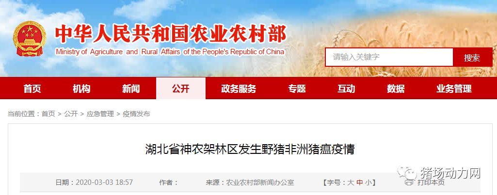 PA�콢��ƽ̨(�й���)�ٷ���վ-PA PlayAce