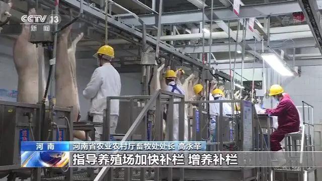 PA�콢��ƽ̨(�й���)�ٷ���վ-PA PlayAce