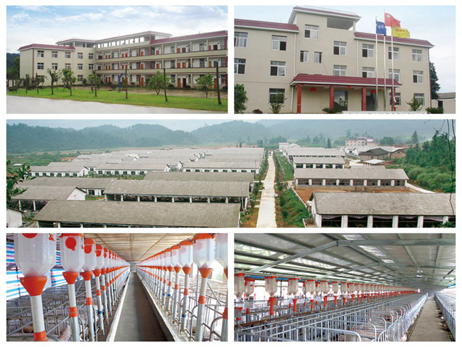 PAÆì½¢Ìüƽ̨(ÖйúÇø)¹Ù·½ÍøÕ¾-PA PlayAce