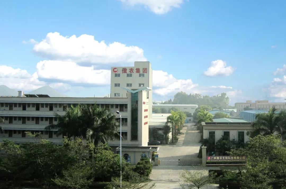 PA旗舰厅平台(中国区)官方网站-PA PlayAce