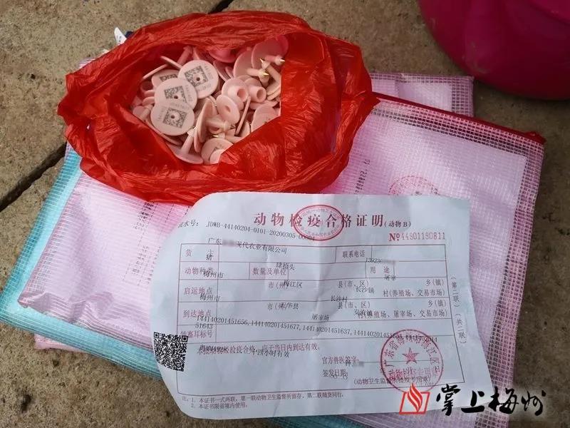 PA�콢��ƽ̨(�й���)�ٷ���վ-PA PlayAce