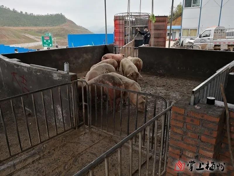 PA�콢��ƽ̨(�й���)�ٷ���վ-PA PlayAce