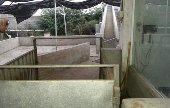 PA�콢��ƽ̨(�й���)�ٷ���վ-PA PlayAce