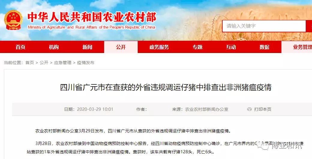 PAÆì½¢Ìüƽ̨(ÖйúÇø)¹Ù·½ÍøÕ¾-PA PlayAce