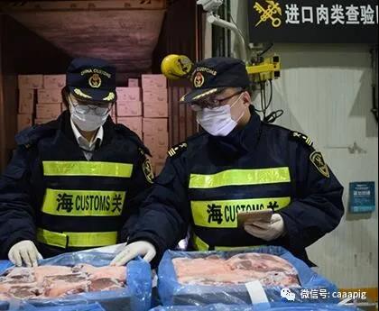 PAÆì½¢Ìüƽ̨(ÖйúÇø)¹Ù·½ÍøÕ¾-PA PlayAce