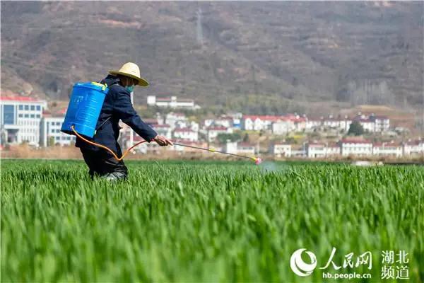 PA�콢��ƽ̨(�й���)�ٷ���վ-PA PlayAce