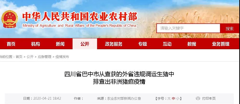 PA�콢��ƽ̨(�й���)�ٷ���վ-PA PlayAce