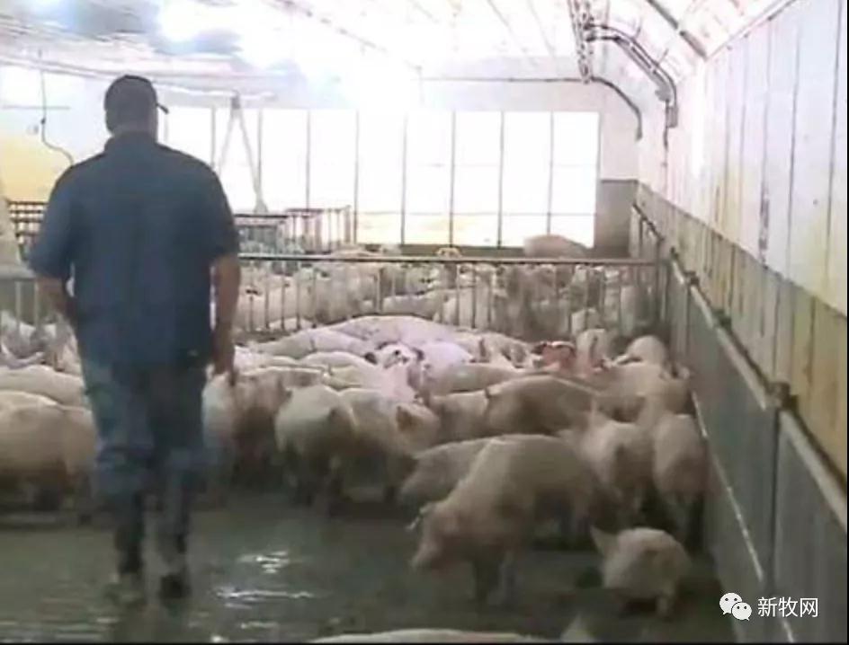 PA�콢��ƽ̨(�й���)�ٷ���վ-PA PlayAce